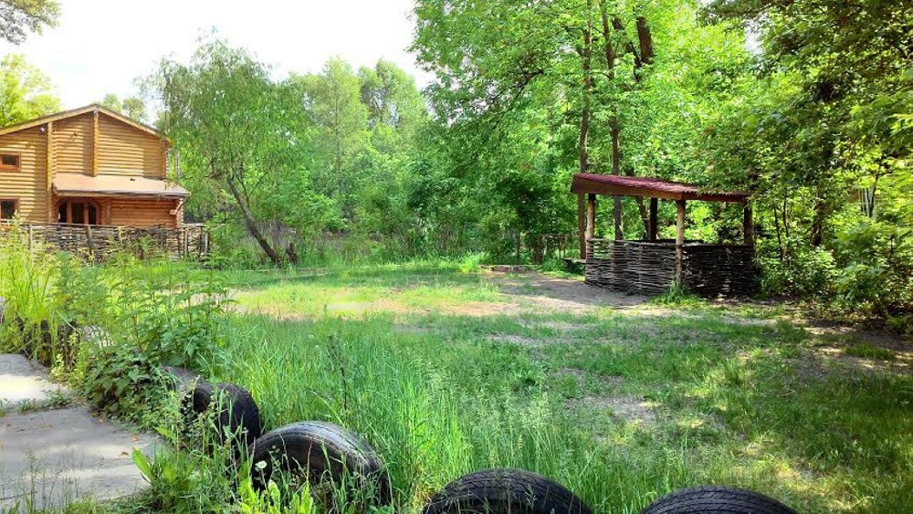 Сдам посуточно дом-сруб на воде. ул.Трухановская,5. Киев - изображение 4