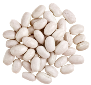 Насіння дрібної квасолі білої на продаж Чернівці - зображення 1