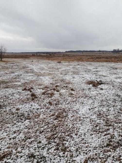 продаж ділянка під житлову забудову Ковельський, Ковель, 90000 грн. Ковель - изображение 5