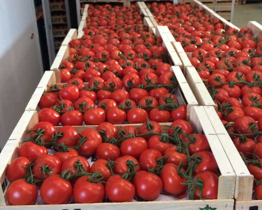 Продаем томаты Киев - изображение 8