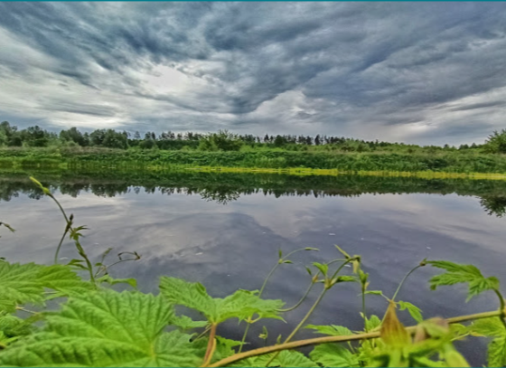 Ділянка 10 соток біля озера в Старих Безрадичах! Ідеально під забудову Київ