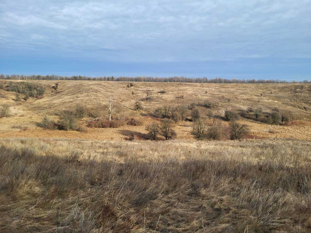 продажа земля сельскохозяйственного назначения Васильковский, Великая Бугаевка, 387000 грн.  - изображение 1