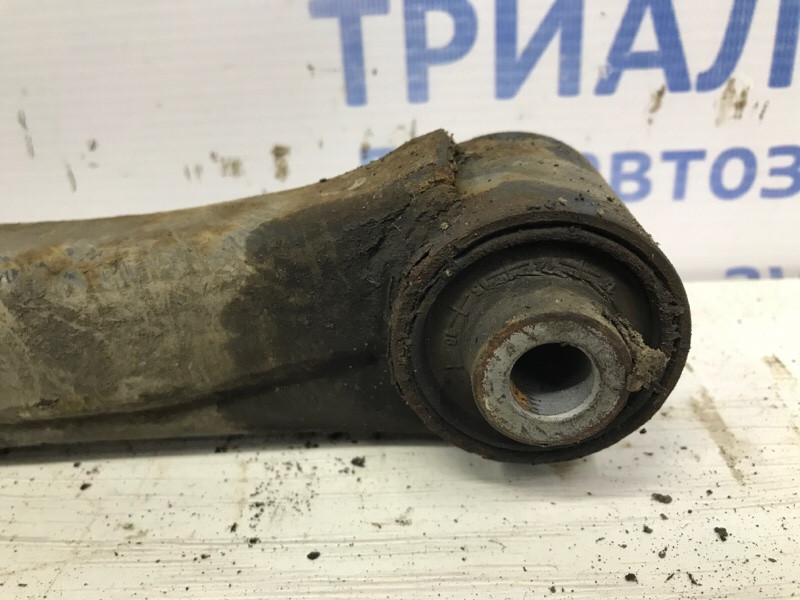 Рычаг задней подвески нижний поперечный (под пружину) SsangYong Korando C200 2.0 DIESEL 2010 (б/у) Київ - зображення 4