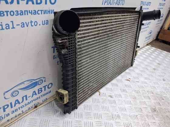 Радиатор интеркуллера Volkswagen Caddy 2003-2015 1K0145803CC (Арт. 87510) Киев