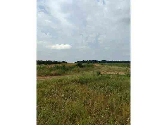 продажа земля сельскохозяйственного назначения Бородянский, Лубянка, 11893757 грн. 