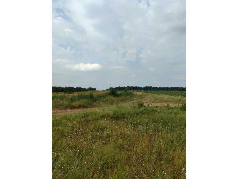 продажа земля сельскохозяйственного назначения Бородянский, Лубянка, 11893757 грн.  - зображення 1