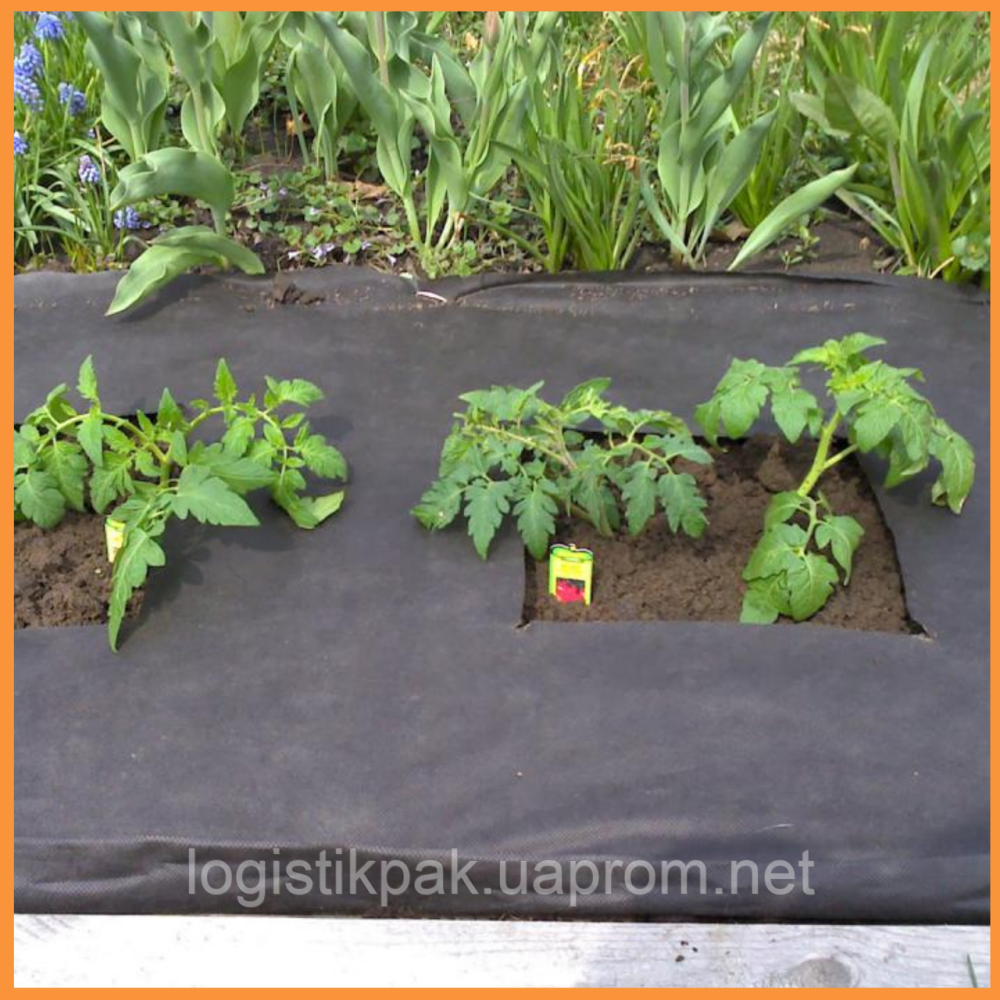 Чёрное агроволокно    90 г/м²  3,2х5 метров пакетированное Харьков - изображение 6