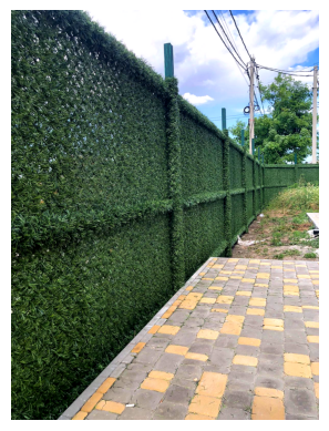 Зелена ізгородь,штучна ізгородь,огорожа для балконів Киев - изображение 7