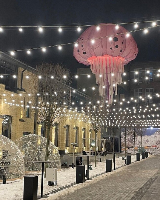 Шоу куля новорічна фотозона Київ - зображення 10