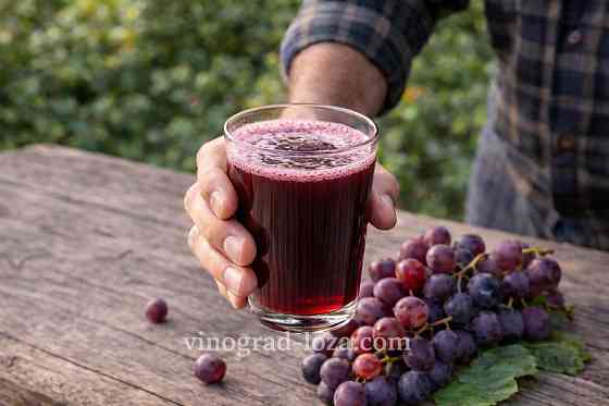 Свіжий виноградний сік - без цукру і консервантів Харків