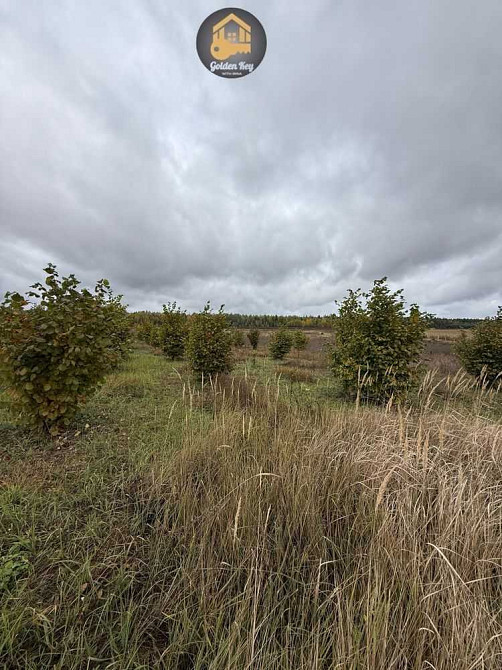 продажа земля сельскохозяйственного назначения Вышгородский, Ровы, 28000 $  - зображення 12