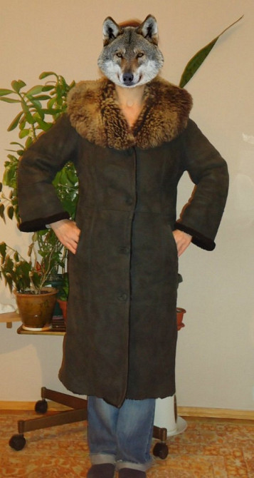 Дублёнка р. 46-48 Київ - зображення 1