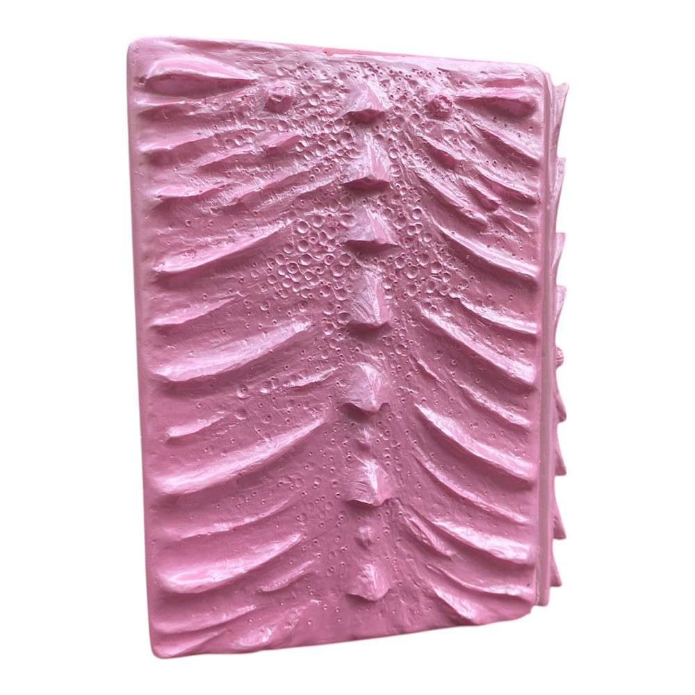 Подарочный 3 блокнот «Дракон Единорога» Киев - изображение 3