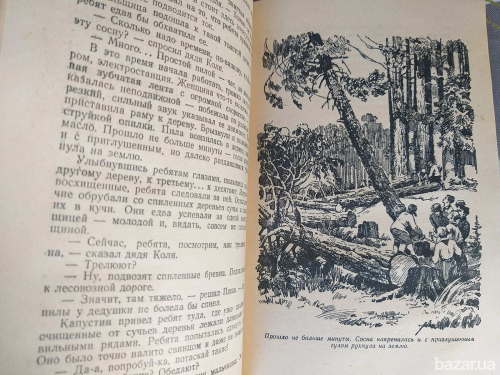 Виктор Лавринайтис Падь Золотая 1959 БПНФ рамка фантастика Запорожье - изображение 6