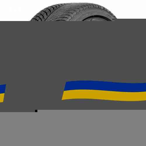 275/35 R19 Michelin Pilot Alpin 5 100V Легкова шина Київ