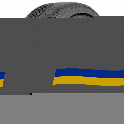 275/35 R19 Michelin Pilot Alpin 5 100V Легкова шина Київ - зображення 1