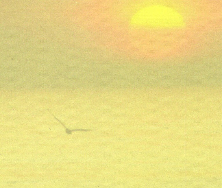 Мастер РЭЙКИ посвятит вас в I-ю Ступень БЕЗлекарственного лечения Одеса - зображення 1