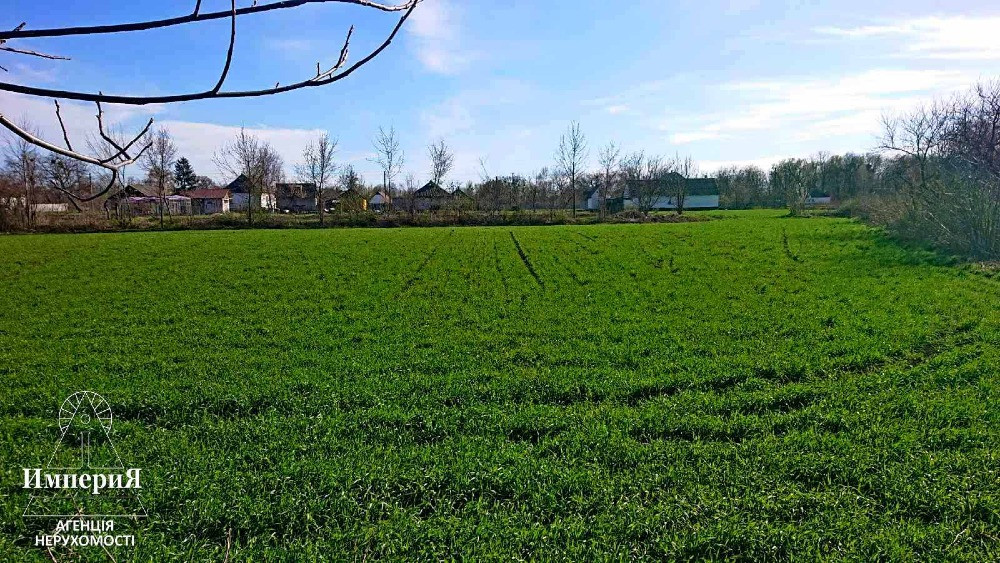 Дом в селе Острая Могила.Газ,свет,вода заведены. Біла Церква - зображення 5