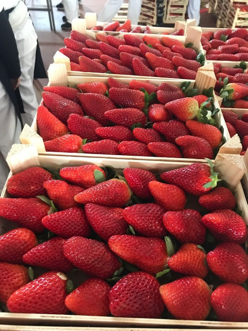 Продаем клубнику Киев - изображение 7