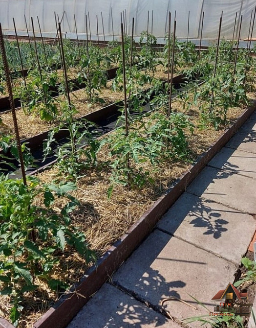 Грядка з перемичкою, клумба з розпокрою Киев - изображение 5