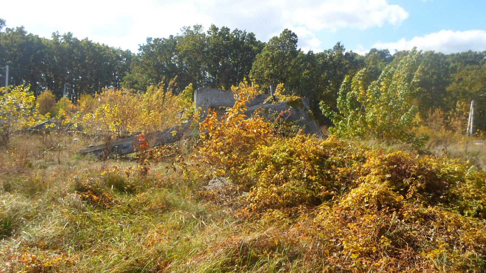 продажа земля коммерческого назначения Васильковский, Иванковичи, 110000 $  - зображення 9