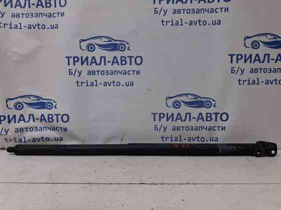 Амортизатор крышки багажника Ford Escape 3 2.0 БЕНЗИН ENR90 2012 (б/у) Київ