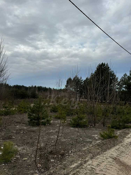 продажа участок под жилую застройку Макаровский, Севериновка, 126500 $  - изображение 6