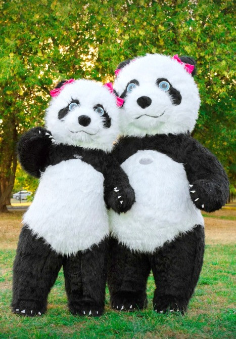 Медведь аниматор Николаев Панда на день рождения заказ и цена Николаев - изображение 2