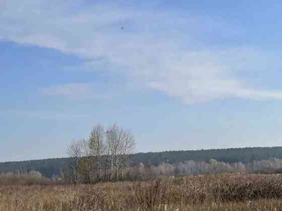 продажа земля сельскохозяйственного назначения Броварский, Пуховка, 295612 грн. 