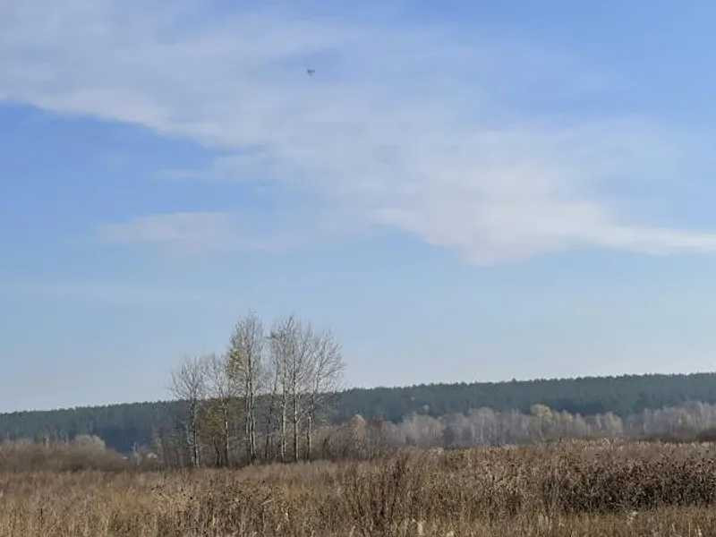 продажа земля сельскохозяйственного назначения Броварский, Пуховка, 295612 грн.  - зображення 2