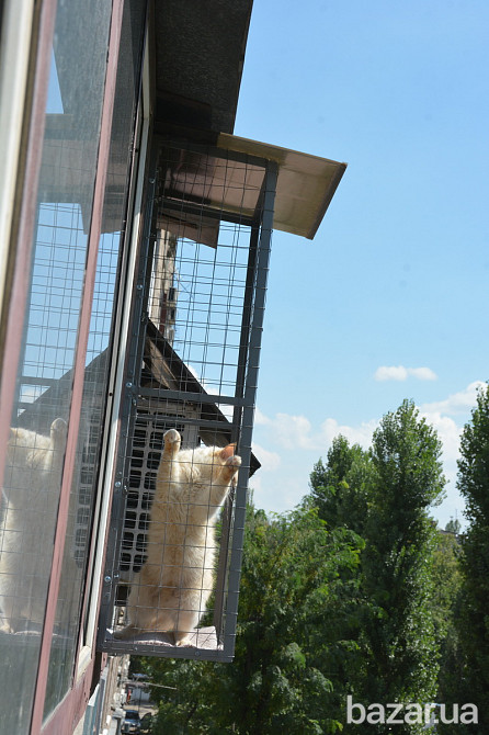 Балкон для выгула кошек, по почте. "Броневик" Днепр. Днепр - изображение 1