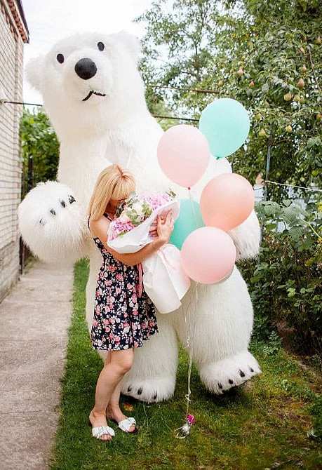 Белый медведь Черновцы.Заказать медведя в Черновцах на праздник. Чернівці - зображення 7