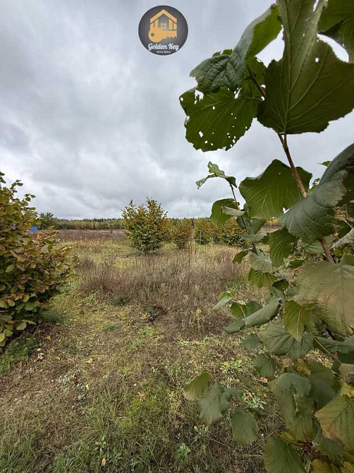 продажа земля сельскохозяйственного назначения Вышгородский, Ровы, 28000 $  - зображення 9