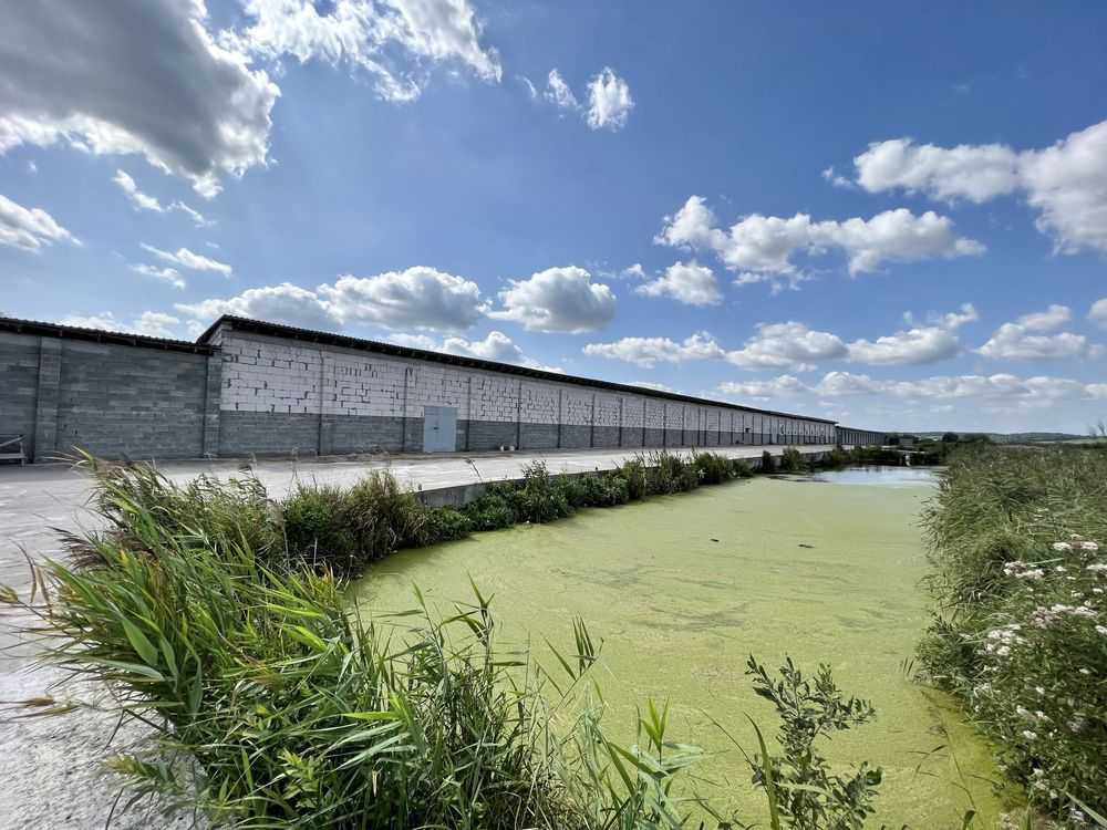 продажа земля сельскохозяйственного назначения Киево-Святошинский, Белогородка, 800000 $  - изображение 3