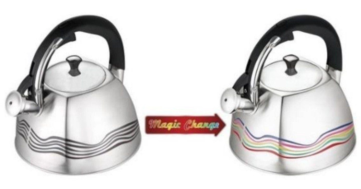 Чайник із свистком Edenberg EB-3542 3 л Київ - зображення 1