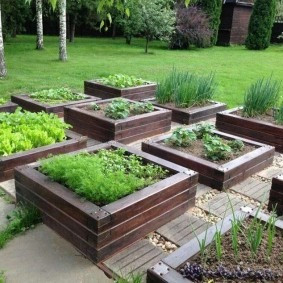 Высокие грядки. Кадки из дерева. Голландские грядки. Клумбы для цветов Вишневе - зображення 1