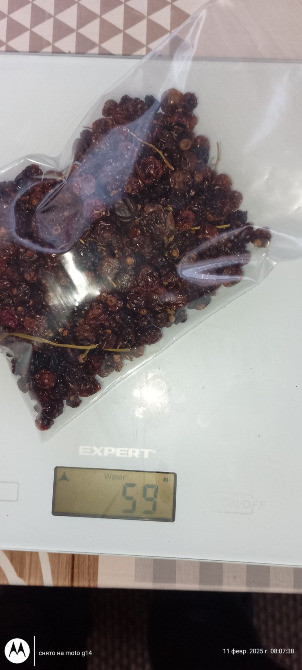 Сухофрукти ( айва, агрус(крижовник), смородина ) Верхнеднепровск - изображение 5