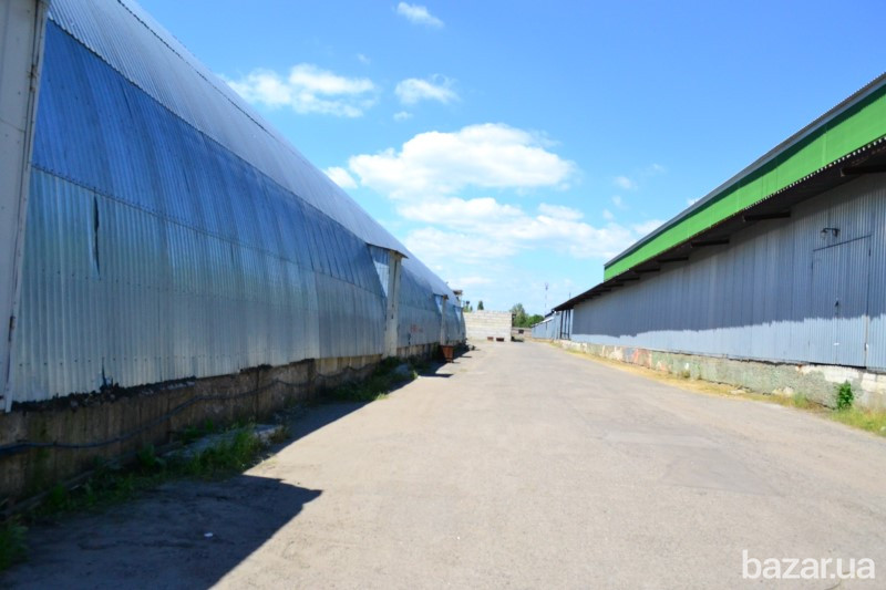 Сдам в аренду склад Одессе,рядом крупный промрынок на юге Украины 7 км Одесса - изображение 5