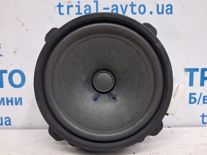 Динамик двери Chevrolet Captiva C140 2.2 DIESEL Z22D1 2006 (б/у) Киев - изображение 1