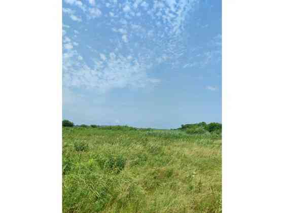 продажа земля сельскохозяйственного назначения Бородянский, Озера, 16265154 грн. 