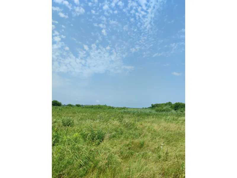 продажа земля сельскохозяйственного назначения Бородянский, Озера, 16265154 грн.  - зображення 2
