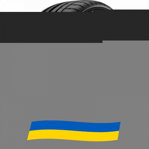 215/50 R17 Michelin Pilot Sport 4 95Y Легкова шина Київ - зображення 1