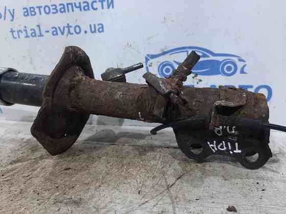 Амортизатор передний правый Nissan Tiida C11 1.6 БЕНЗИН HR16 2004 (б/у) Киев