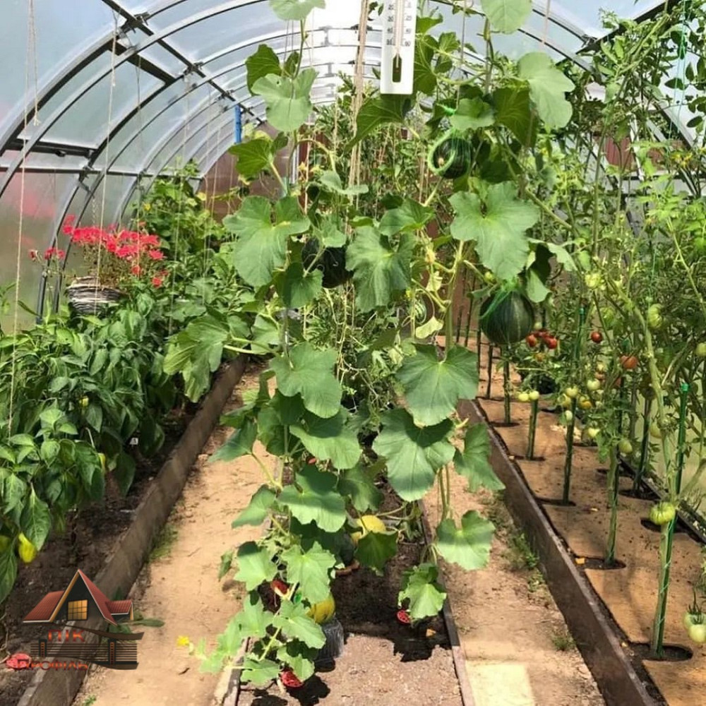 Грядка теплична, клумба Киев - изображение 3