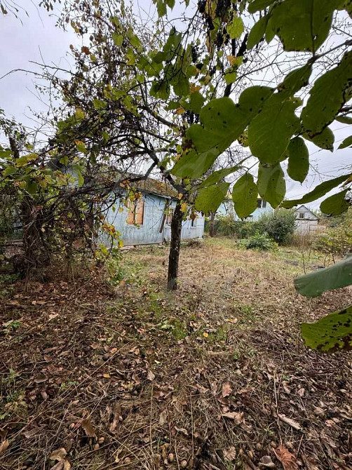 продажа земля сельскохозяйственного назначения Бориспольский, Чубинское, 18000 $  - зображення 7