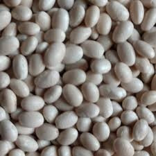 Насіння білої квасолі дрібної. Посівна квасоля Вінниця - зображення 1