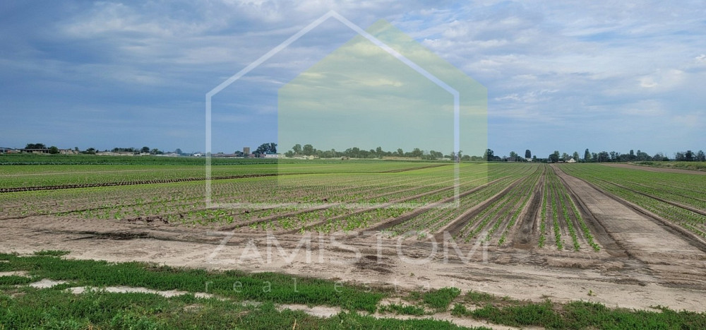 Продаж 2.5 Га земельної ділянки в Бориспольському р-н, Киевскої обл. Фасад дороги вздовж села Петроп Київ - зображення 3