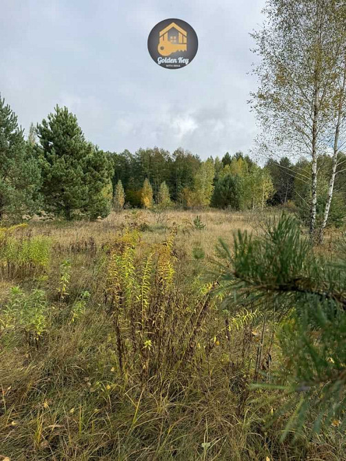 продажа земля сельскохозяйственного назначения Вышгородский, Ровы, 35000 $  - зображення 7