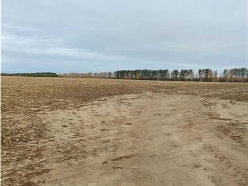 продажа земля сельскохозяйственного назначения Макаровский, Наливайковка, 404888 грн.  - изображение 6