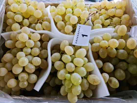 Продаем виноград Київ